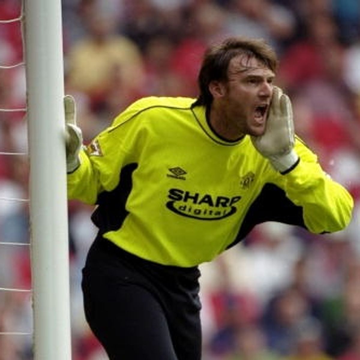 Massimo Taibi - ranking option ranked #7