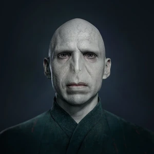 Lord Voldemort — ranked #14