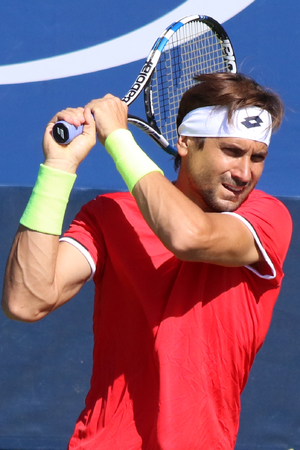 David Ferrer — ranked #13
