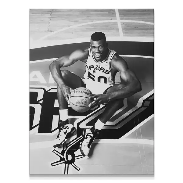 David Robinson - ranking option ranked #5