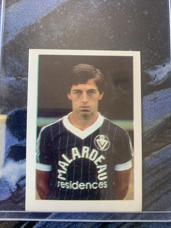 Alain Giresse - ranking option ranked #8