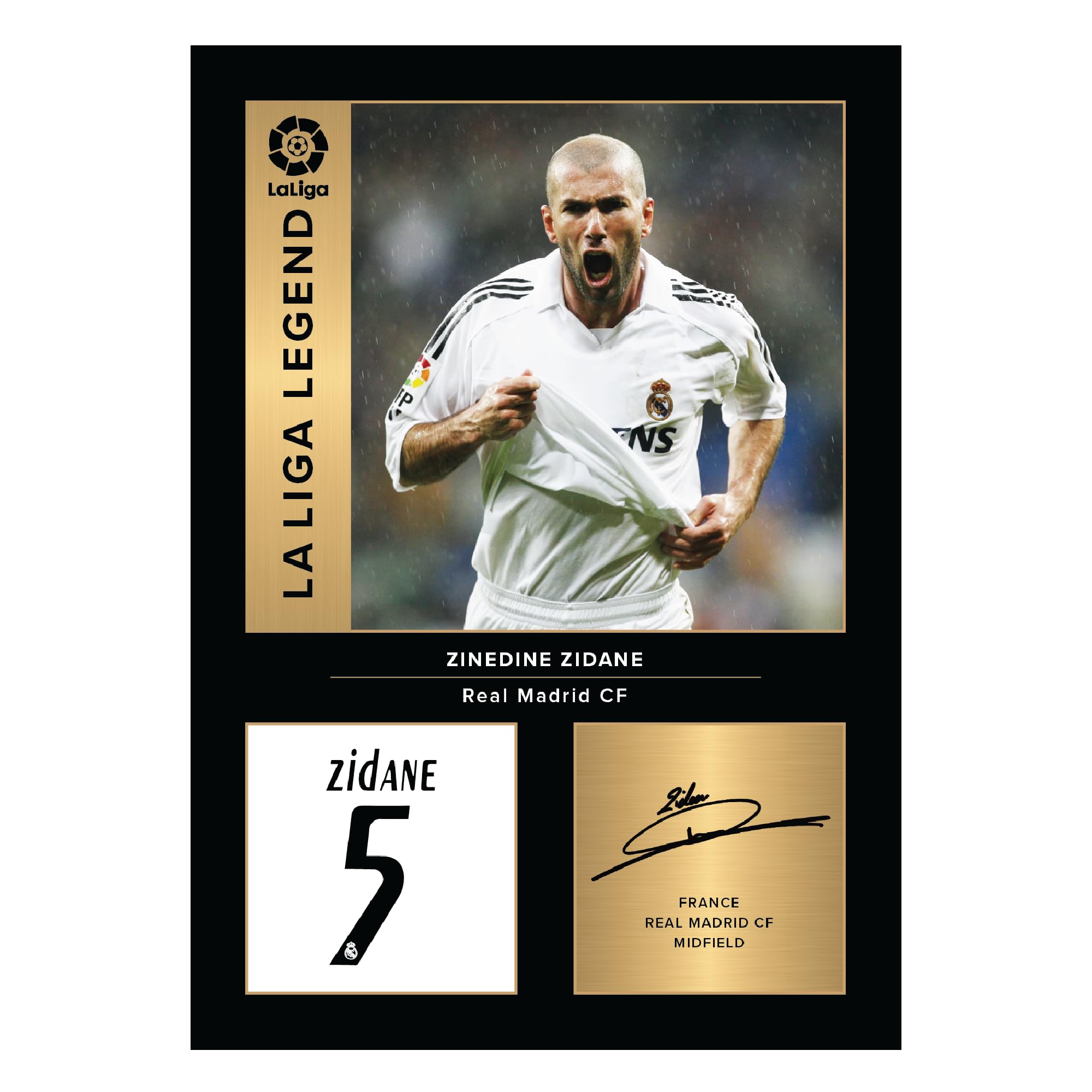 Zinedine Zidane - ranking option ranked #2