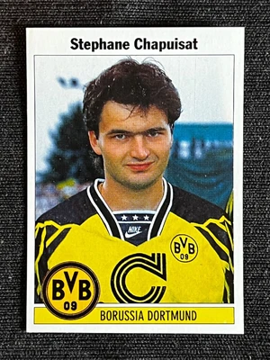 Stéphane Chapuisat — ranked #6