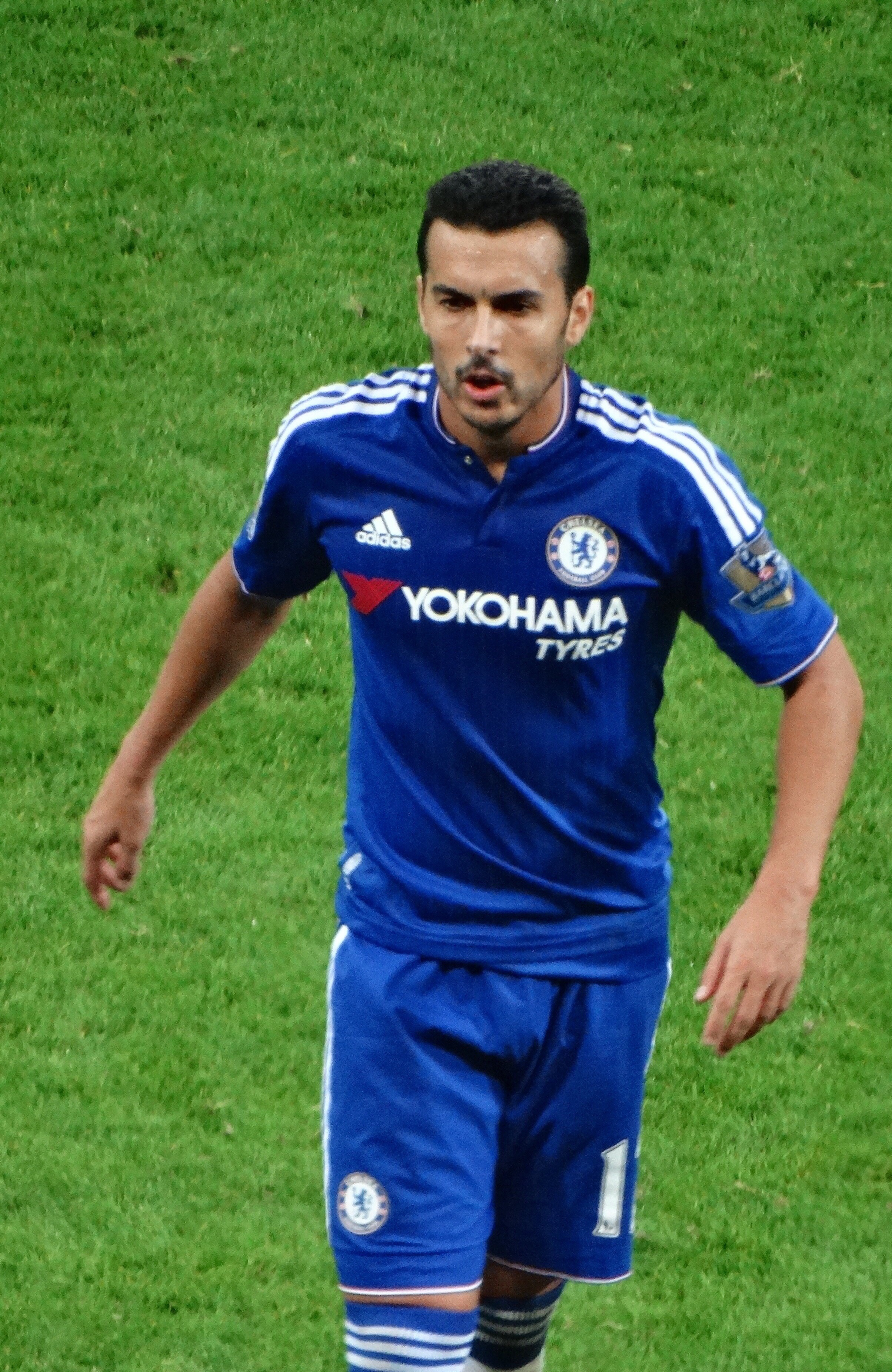 Pedro - ranking option ranked #3