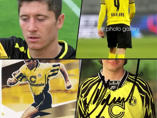 Top 9 Borussia Dortmund Number 9s of All Time