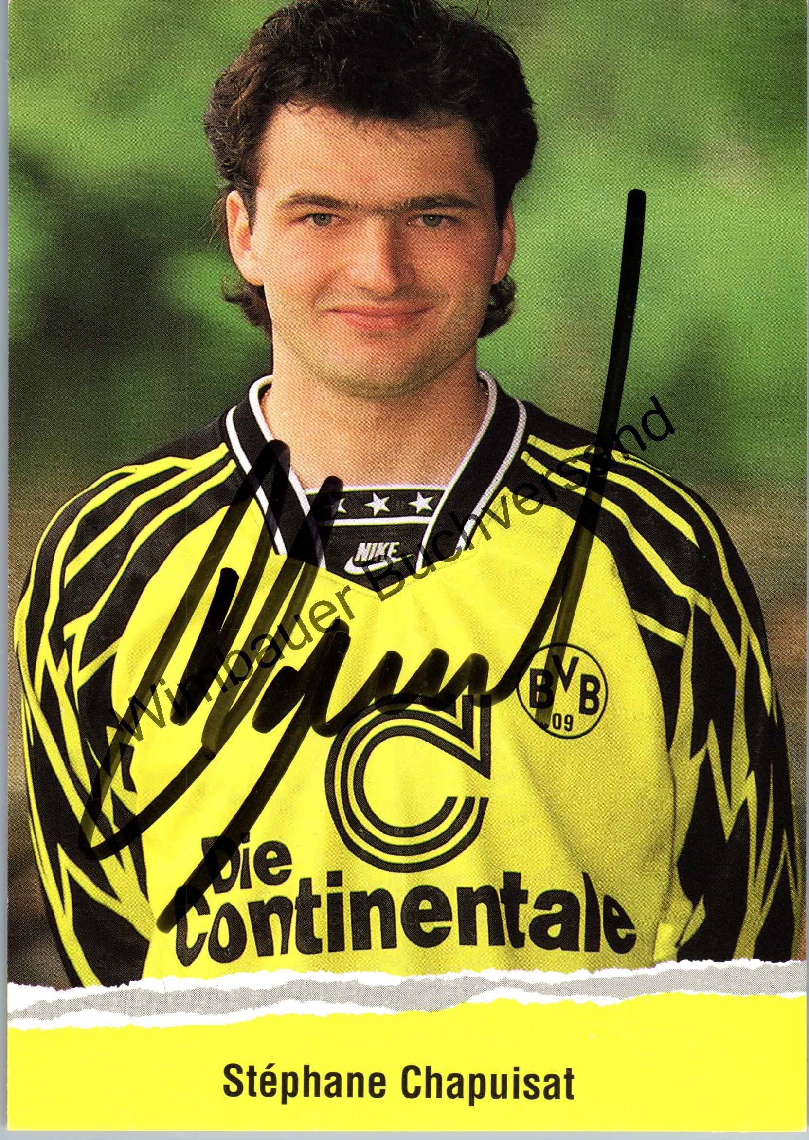 Stéphane Chapuisat - ranking option ranked #5