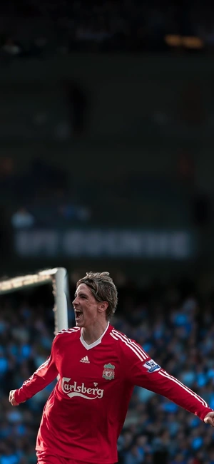 Fernando Torres — ranked #4