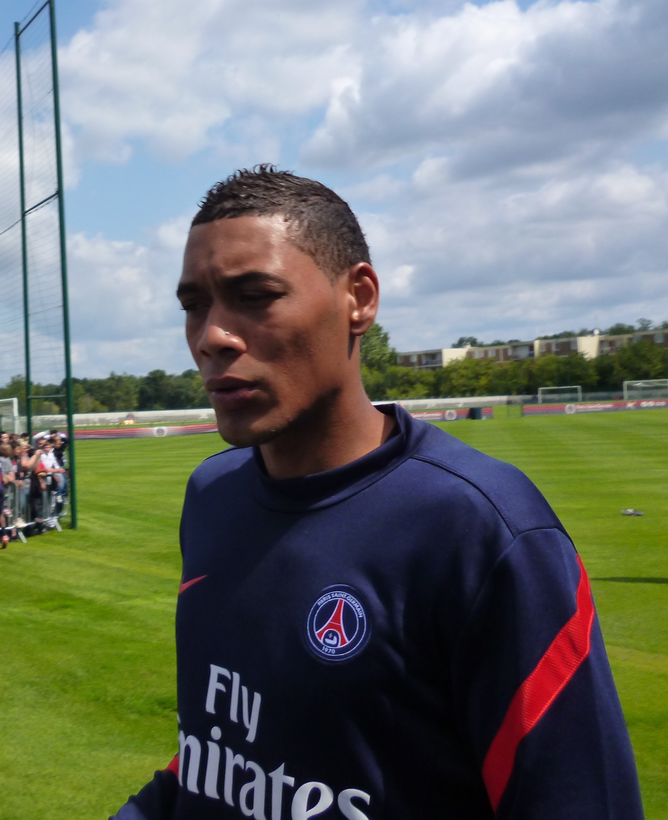 Guillaume Hoarau - ranking option ranked #7