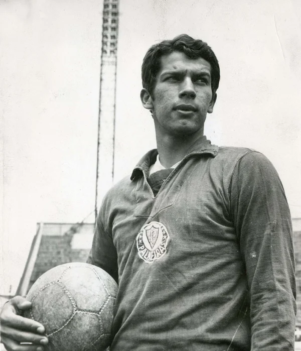 Emerson Leão - ranking option ranked #4