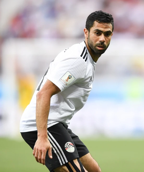 Ahmed Fathy - ranking option ranked #8