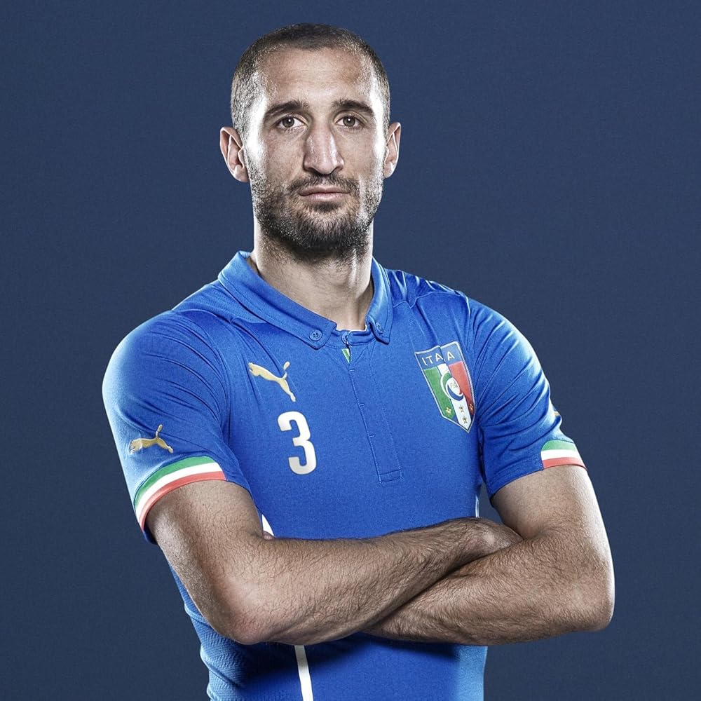 Giorgio Chiellini - ranking option ranked #12