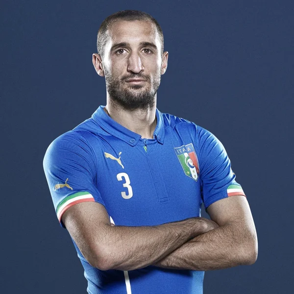 Giorgio Chiellini - ranking option ranked #12
