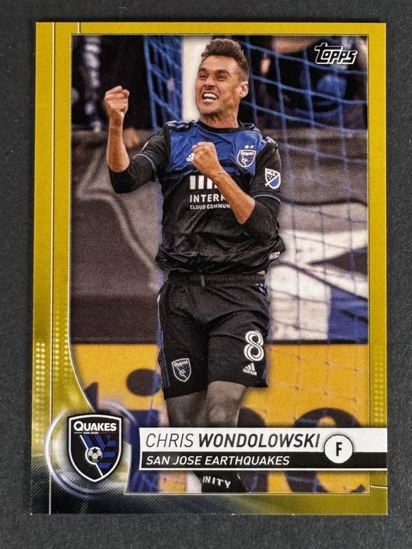 Chris Wondolowski - ranking option ranked #11