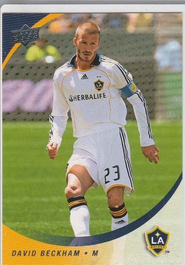 David Beckham - ranking option ranked #3