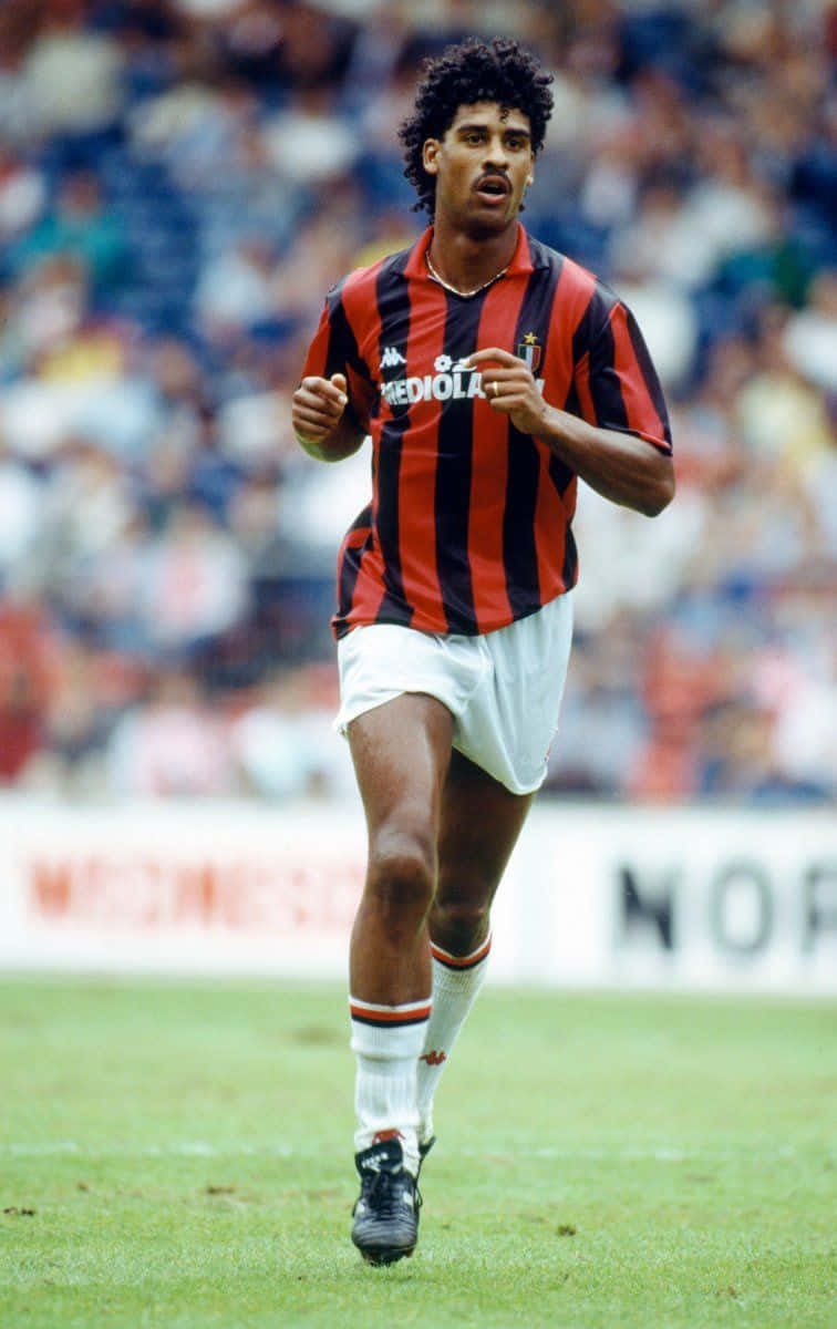 Frank Rijkaard - ranking option ranked #5