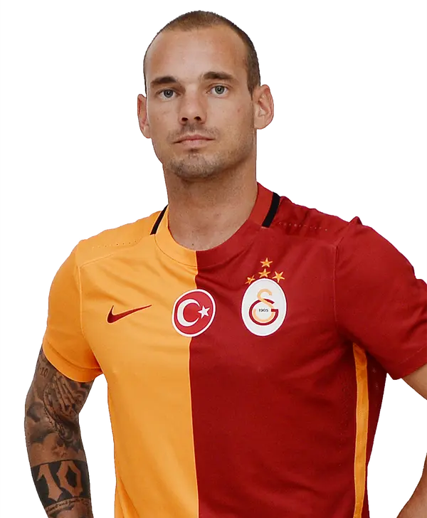 Wesley Sneijder - ranking option ranked #8