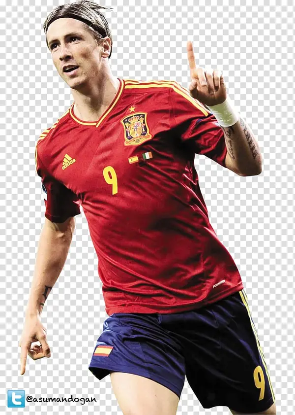 Fernando Torres - ranking option ranked #4
