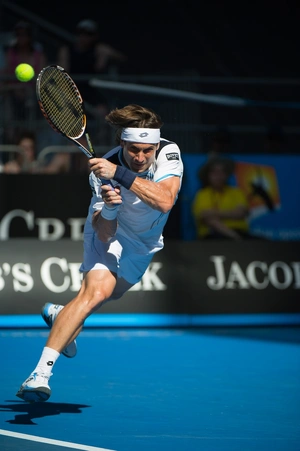 David Ferrer — ranked #10