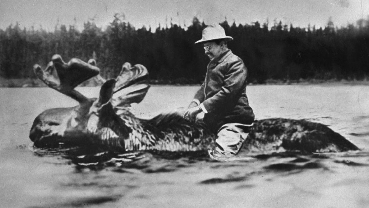 Theodore Roosevelt — ranked #1