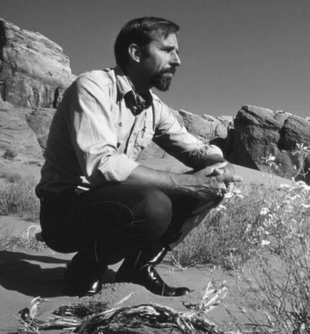Edward Abbey — ranked #14