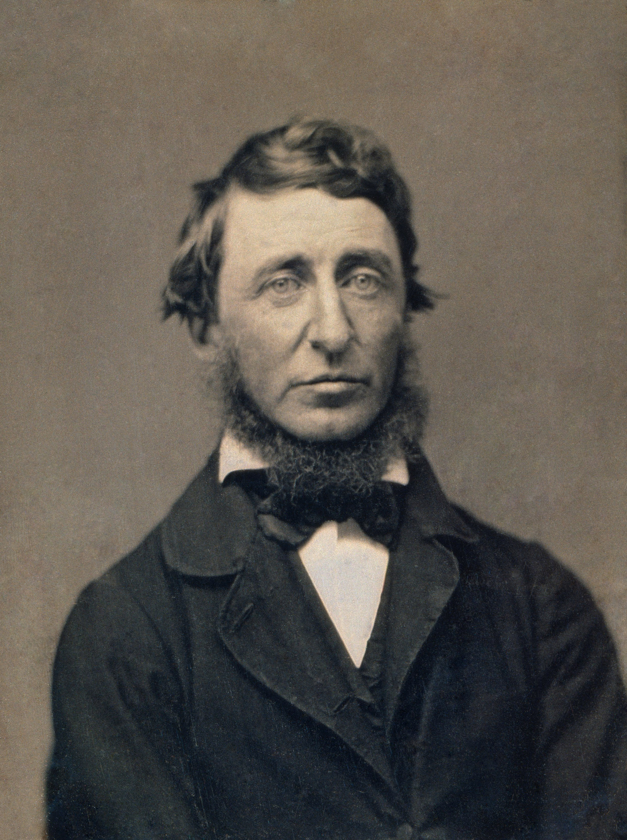 Henry David Thoreau — ranked #11