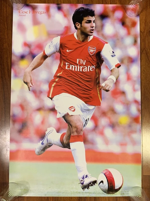Cesc Fàbregas - ranking option ranked #9