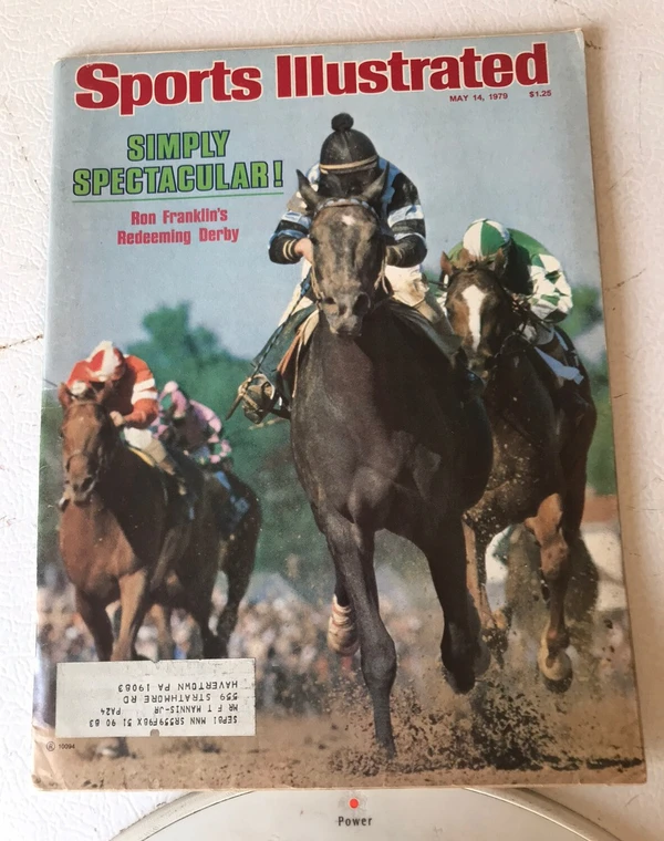 Spectacular Bid - ranking option ranked #10