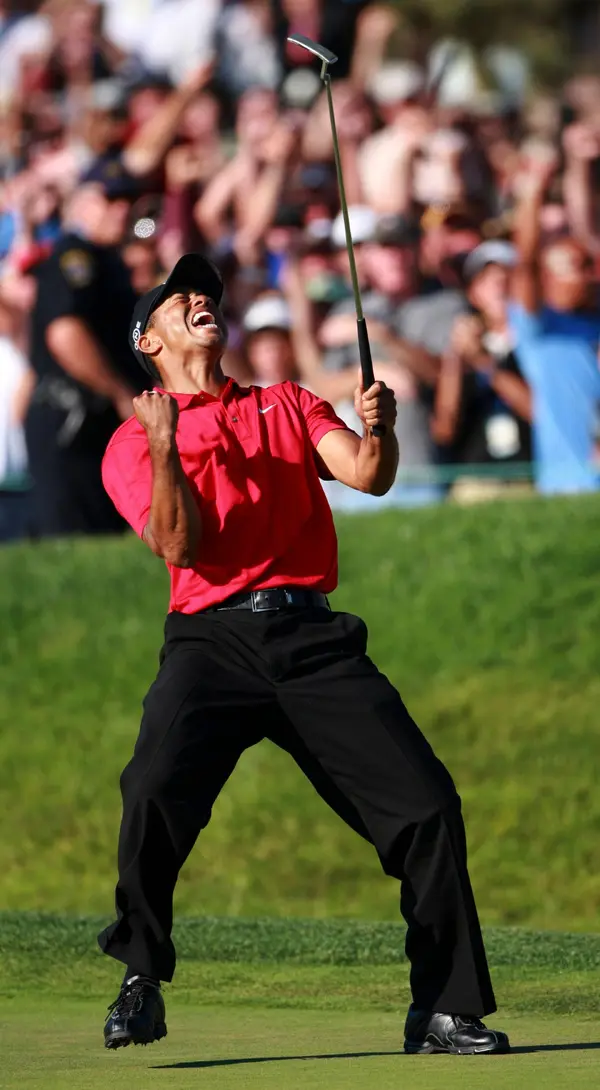 Tiger Woods - ranking option ranked #2