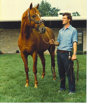 Affirmed — ranked #5