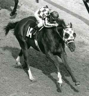Secretariat — ranked #1