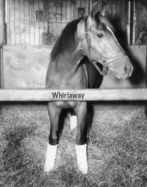Whirlaway — ranked #7
