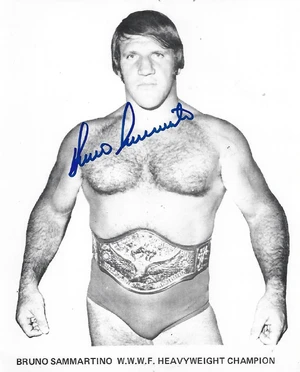 Bruno Sammartino — ranked #18