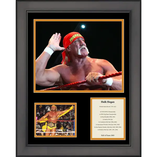 Hulk Hogan - ranking option ranked #10
