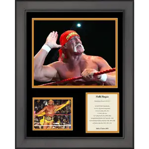 Hulk Hogan — ranked #10