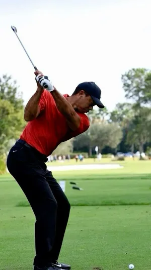 Tiger Woods — ranked #6