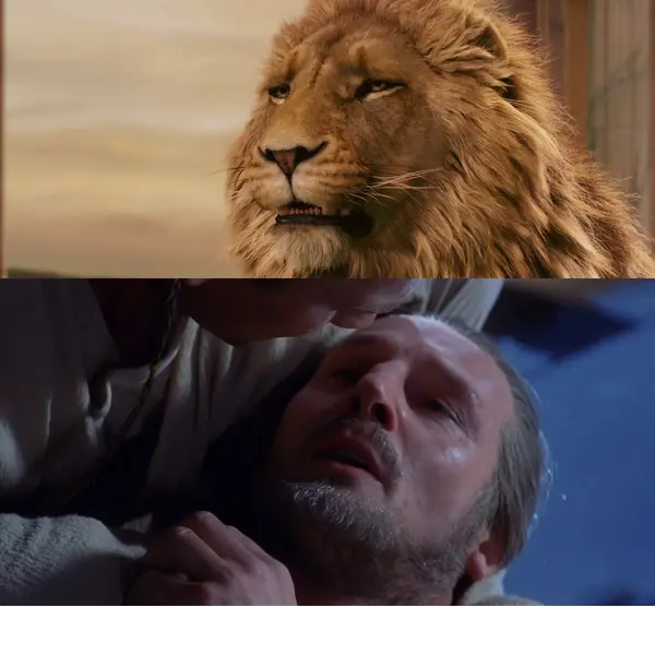 Aslan - ranking option ranked #1