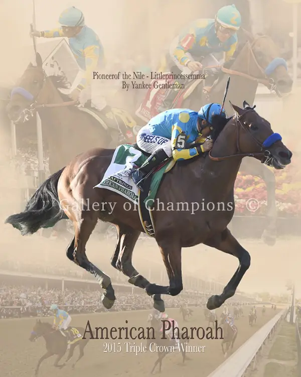 American Pharoah - ranking option ranked #2