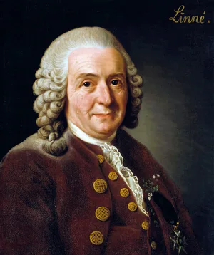 Carl Linnaeus — ranked #11