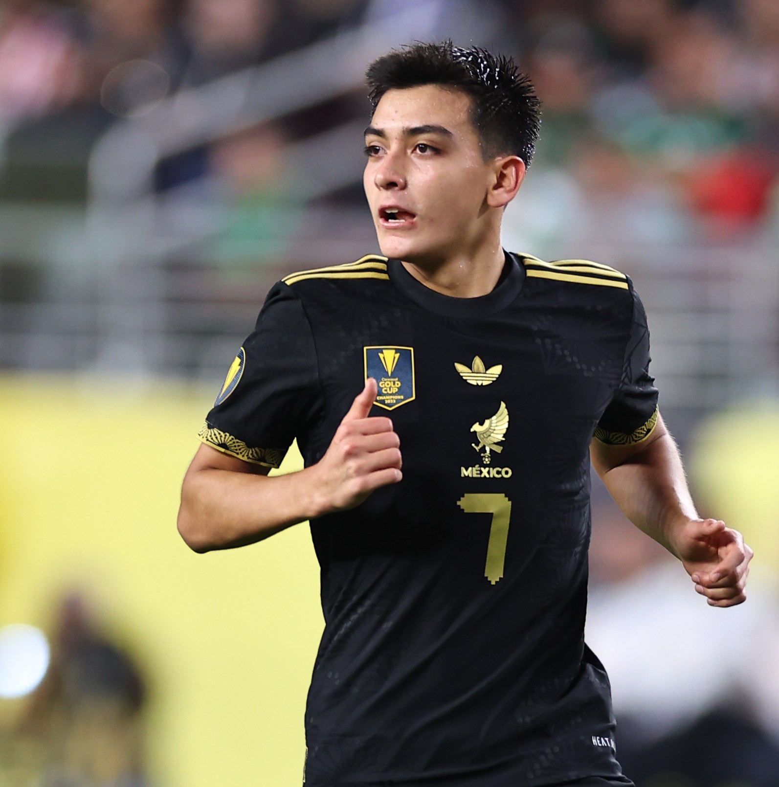 Guillermo Ochoa
