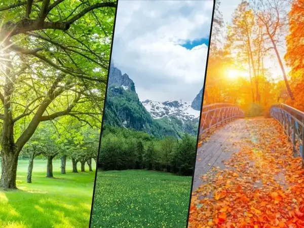 What is your favorite season?